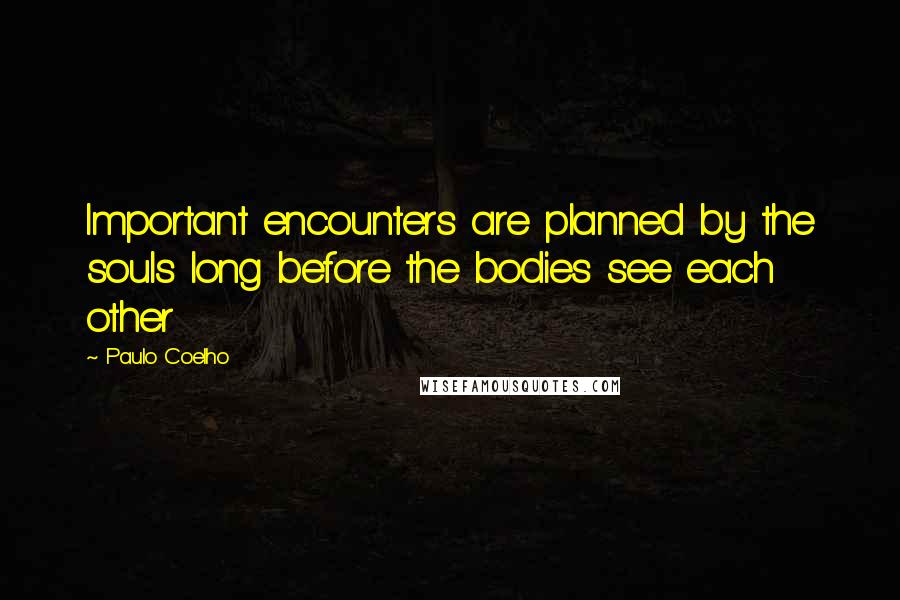 Paulo Coelho Quotes: Important encounters are planned by the souls long before the bodies see each other