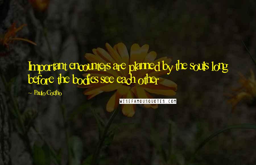 Paulo Coelho Quotes: Important encounters are planned by the souls long before the bodies see each other