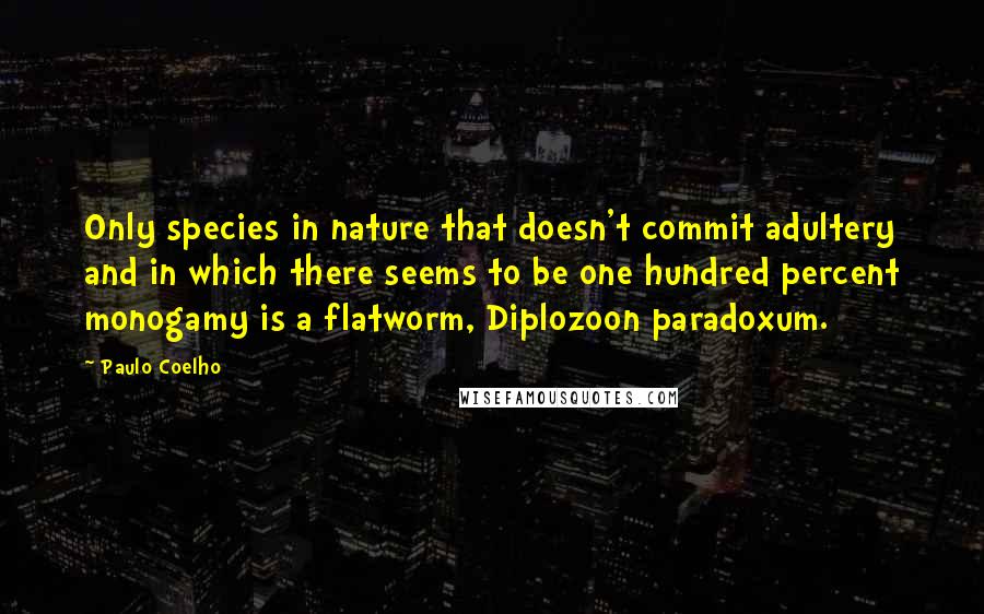Paulo Coelho Quotes: Only species in nature that doesn't commit adultery and in which there seems to be one hundred percent monogamy is a flatworm, Diplozoon paradoxum.