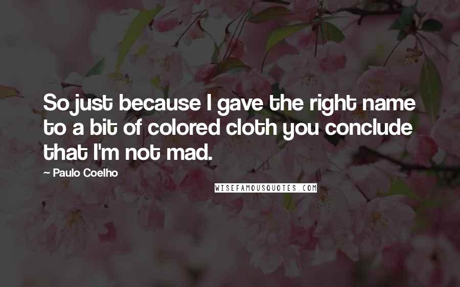 Paulo Coelho Quotes: So just because I gave the right name to a bit of colored cloth you conclude that I'm not mad.