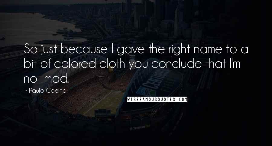 Paulo Coelho Quotes: So just because I gave the right name to a bit of colored cloth you conclude that I'm not mad.