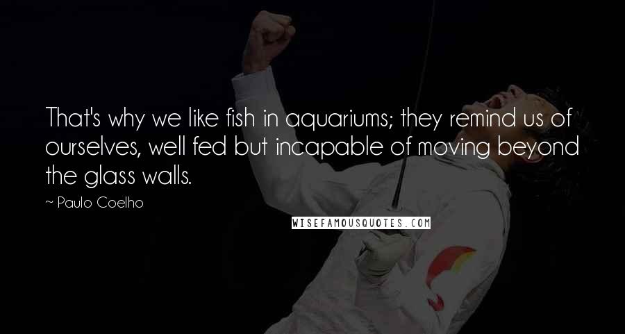 Paulo Coelho Quotes: That's why we like fish in aquariums; they remind us of ourselves, well fed but incapable of moving beyond the glass walls.