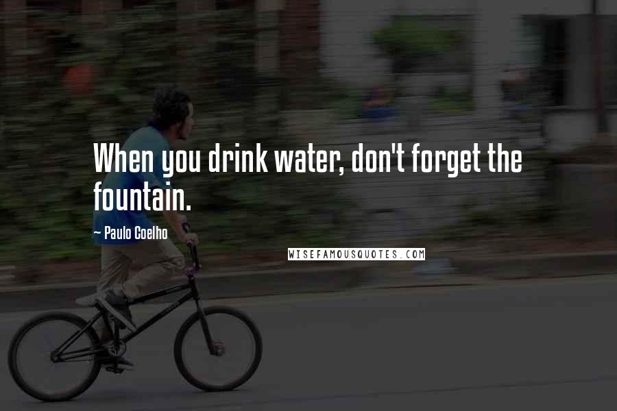Paulo Coelho Quotes: When you drink water, don't forget the fountain.