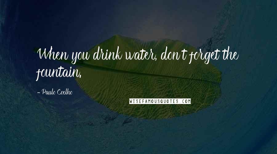 Paulo Coelho Quotes: When you drink water, don't forget the fountain.