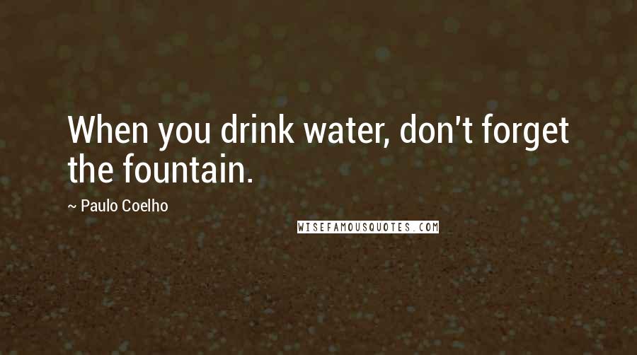 Paulo Coelho Quotes: When you drink water, don't forget the fountain.