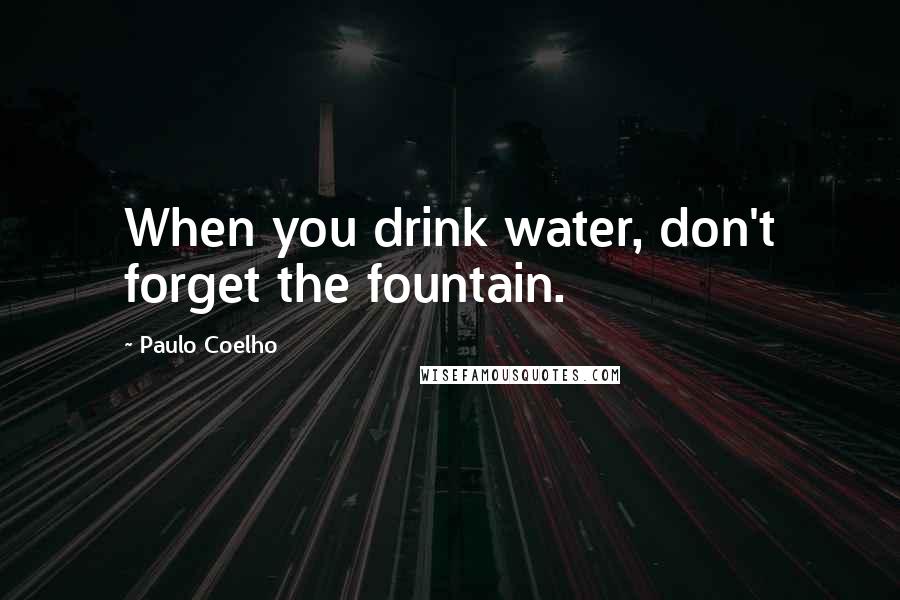 Paulo Coelho Quotes: When you drink water, don't forget the fountain.