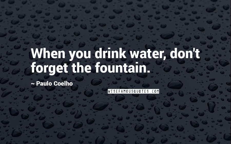 Paulo Coelho Quotes: When you drink water, don't forget the fountain.