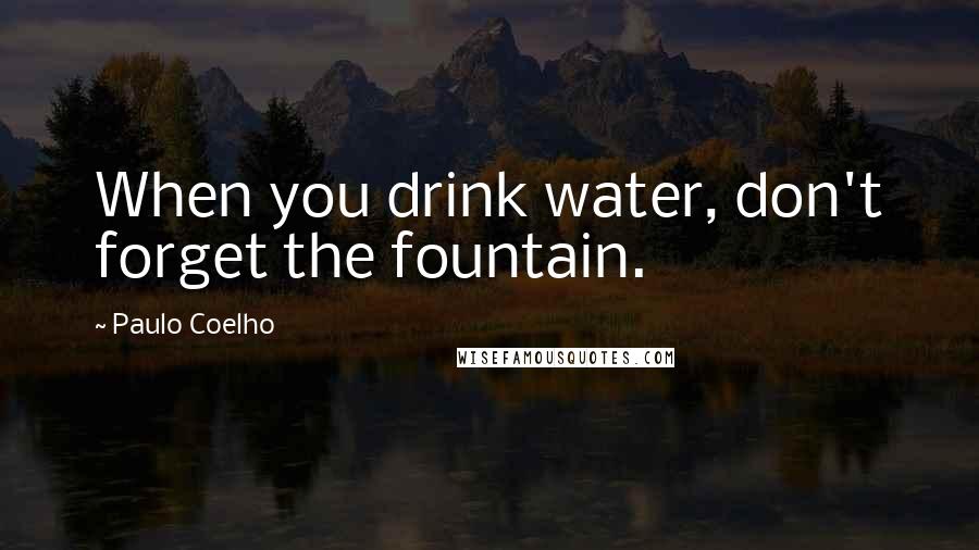 Paulo Coelho Quotes: When you drink water, don't forget the fountain.