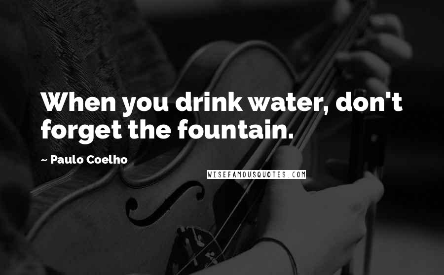 Paulo Coelho Quotes: When you drink water, don't forget the fountain.