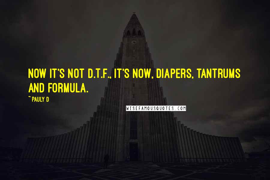 Pauly D Quotes: Now it's not D.T.F., It's now, diapers, tantrums and formula.