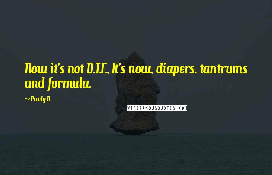 Pauly D Quotes: Now it's not D.T.F., It's now, diapers, tantrums and formula.