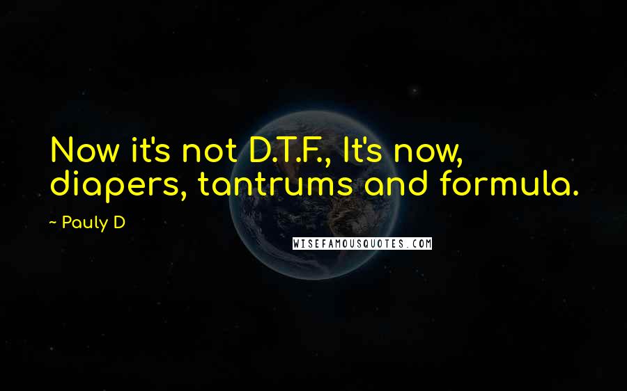 Pauly D Quotes: Now it's not D.T.F., It's now, diapers, tantrums and formula.