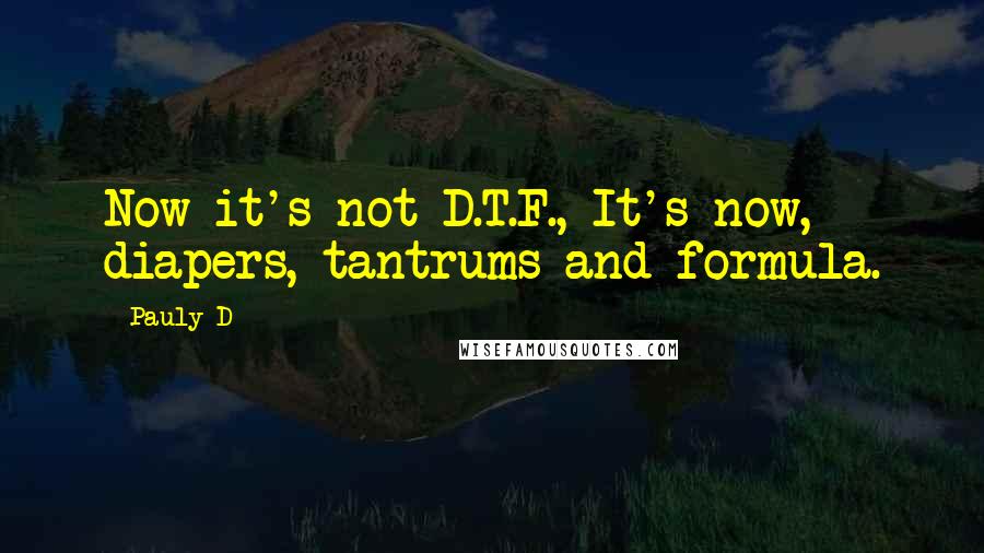 Pauly D Quotes: Now it's not D.T.F., It's now, diapers, tantrums and formula.