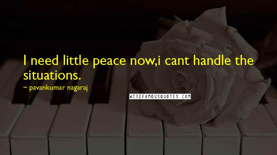 Pavankumar Nagaraj Quotes: I need little peace now,i cant handle the situations.