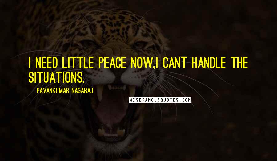 Pavankumar Nagaraj Quotes: I need little peace now,i cant handle the situations.