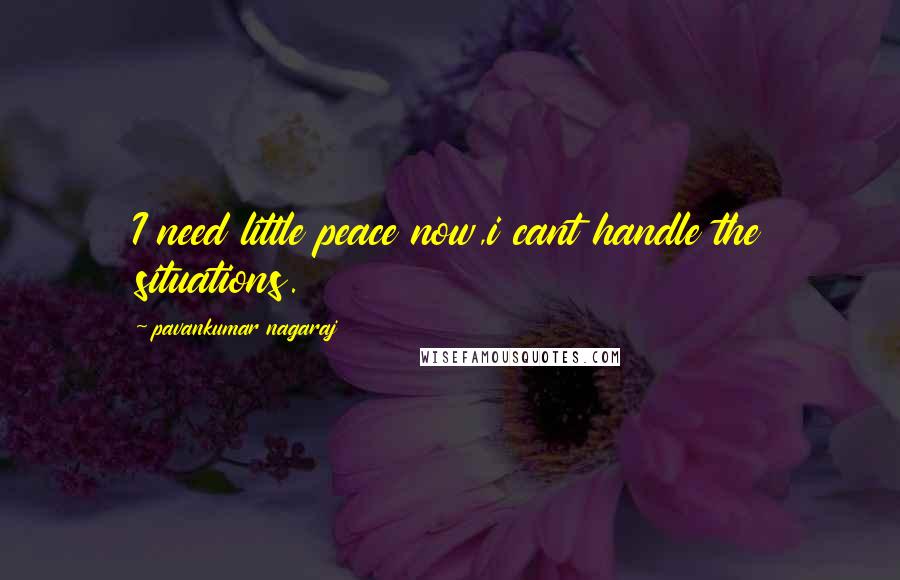 Pavankumar Nagaraj Quotes: I need little peace now,i cant handle the situations.