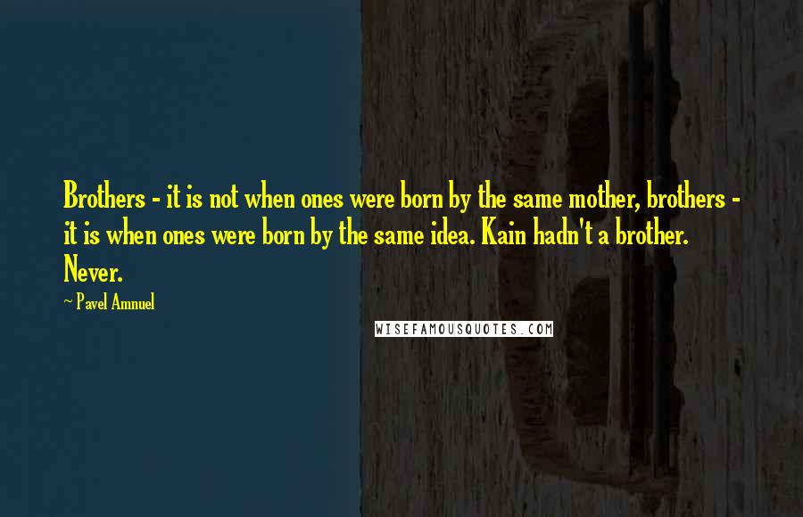 Pavel Amnuel Quotes: Brothers - it is not when ones were born by the same mother, brothers - it is when ones were born by the same idea. Kain hadn't a brother. Never.