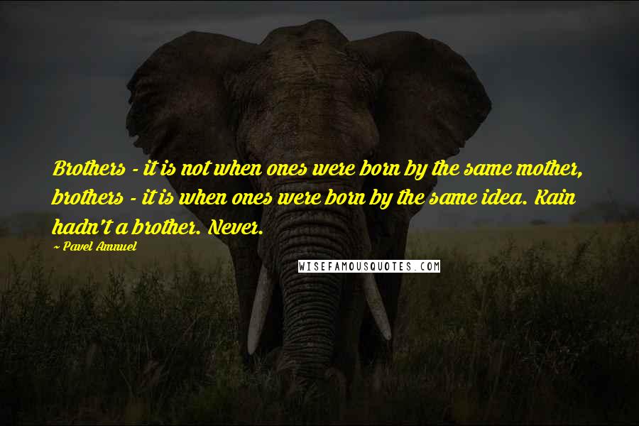 Pavel Amnuel Quotes: Brothers - it is not when ones were born by the same mother, brothers - it is when ones were born by the same idea. Kain hadn't a brother. Never.