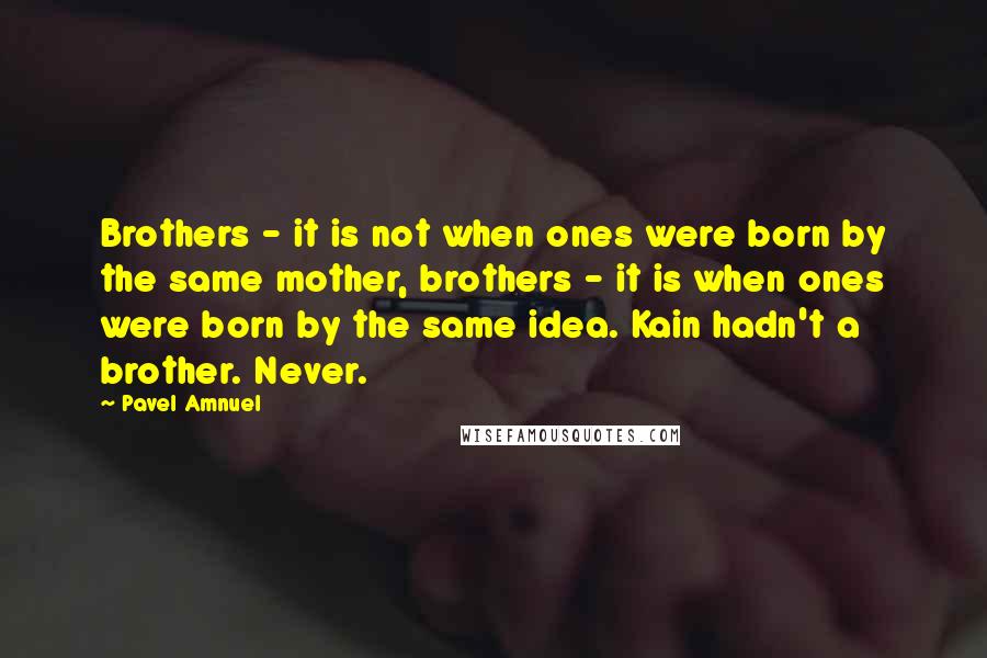Pavel Amnuel Quotes: Brothers - it is not when ones were born by the same mother, brothers - it is when ones were born by the same idea. Kain hadn't a brother. Never.