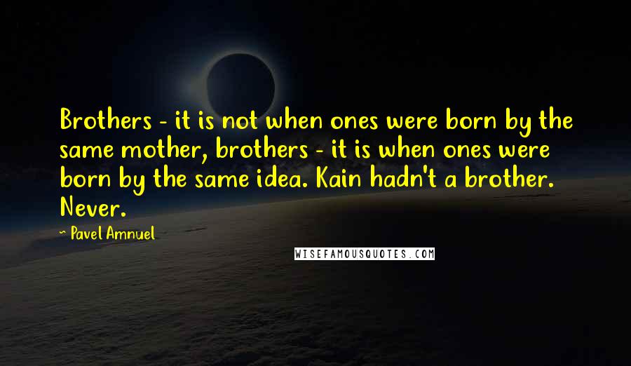 Pavel Amnuel Quotes: Brothers - it is not when ones were born by the same mother, brothers - it is when ones were born by the same idea. Kain hadn't a brother. Never.