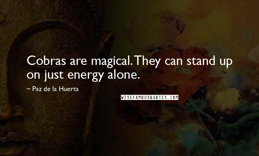 Paz De La Huerta Quotes: Cobras are magical. They can stand up on just energy alone.