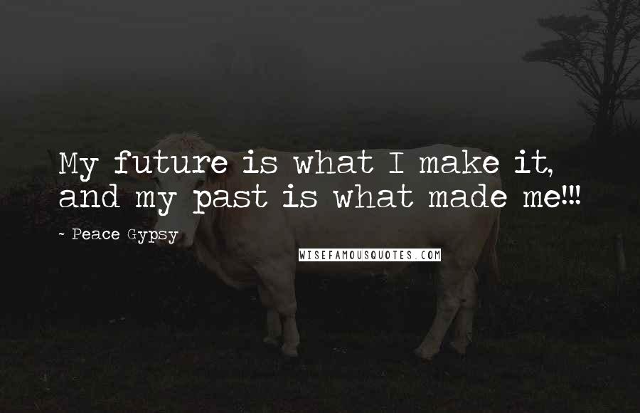 Peace Gypsy Quotes: My future is what I make it, and my past is what made me!!!