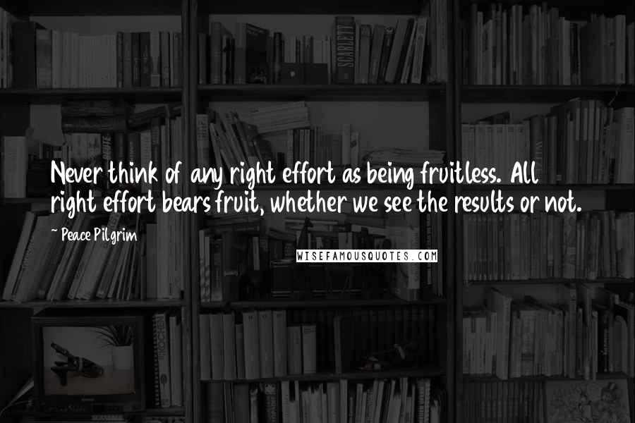 Peace Pilgrim Quotes: Never think of any right effort as being fruitless. All right effort bears fruit, whether we see the results or not.