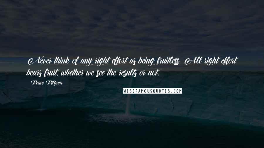 Peace Pilgrim Quotes: Never think of any right effort as being fruitless. All right effort bears fruit, whether we see the results or not.