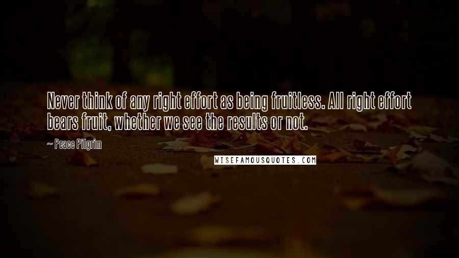 Peace Pilgrim Quotes: Never think of any right effort as being fruitless. All right effort bears fruit, whether we see the results or not.