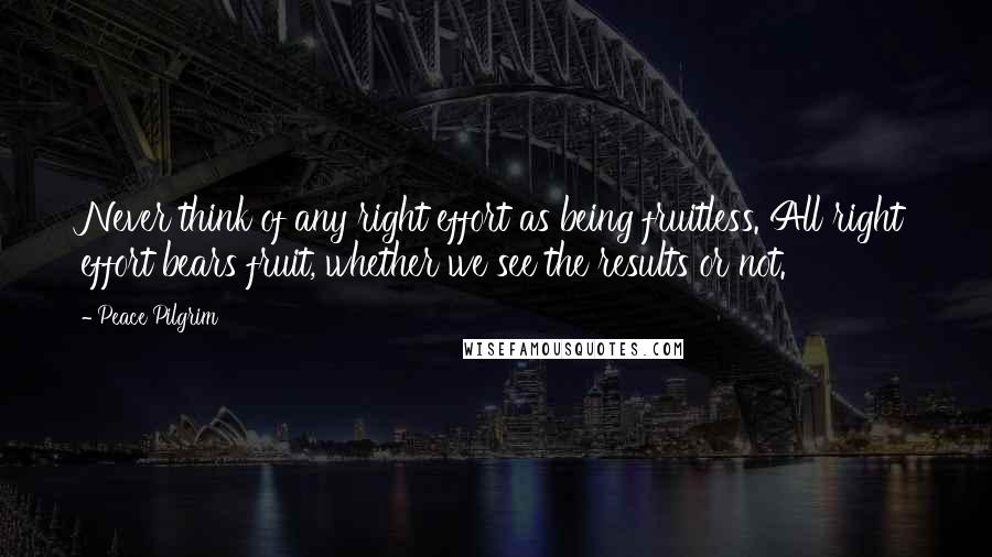 Peace Pilgrim Quotes: Never think of any right effort as being fruitless. All right effort bears fruit, whether we see the results or not.