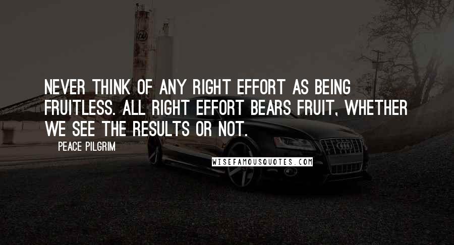 Peace Pilgrim Quotes: Never think of any right effort as being fruitless. All right effort bears fruit, whether we see the results or not.