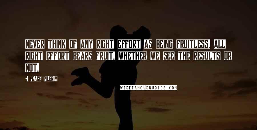 Peace Pilgrim Quotes: Never think of any right effort as being fruitless. All right effort bears fruit, whether we see the results or not.