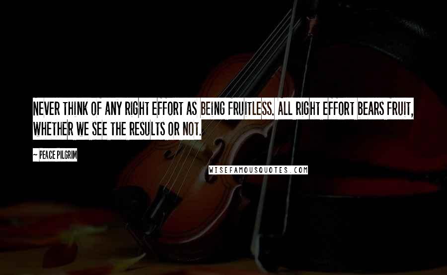 Peace Pilgrim Quotes: Never think of any right effort as being fruitless. All right effort bears fruit, whether we see the results or not.