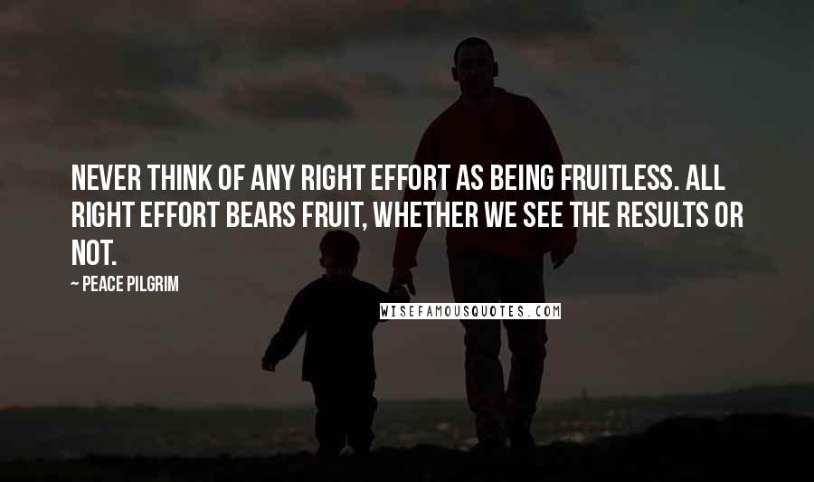 Peace Pilgrim Quotes: Never think of any right effort as being fruitless. All right effort bears fruit, whether we see the results or not.