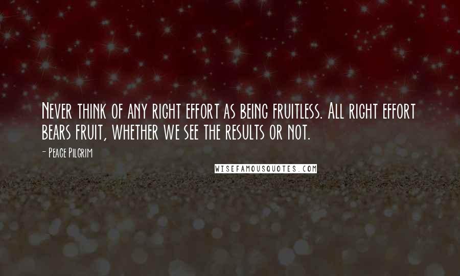Peace Pilgrim Quotes: Never think of any right effort as being fruitless. All right effort bears fruit, whether we see the results or not.