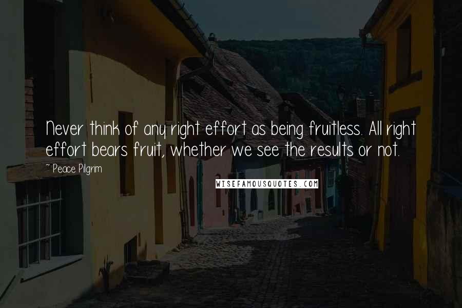 Peace Pilgrim Quotes: Never think of any right effort as being fruitless. All right effort bears fruit, whether we see the results or not.