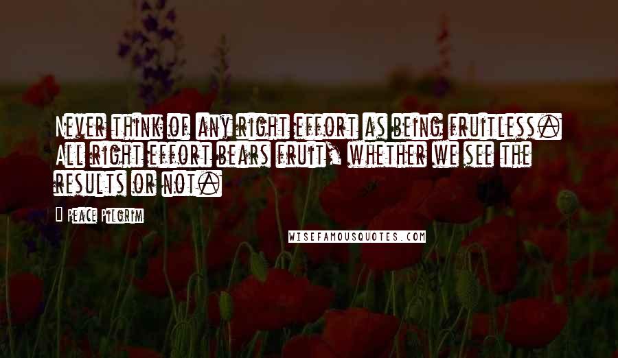 Peace Pilgrim Quotes: Never think of any right effort as being fruitless. All right effort bears fruit, whether we see the results or not.