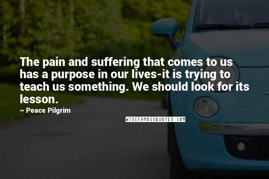 Peace Pilgrim Quotes: The pain and suffering that comes to us has a purpose in our lives-it is trying to teach us something. We should look for its lesson.
