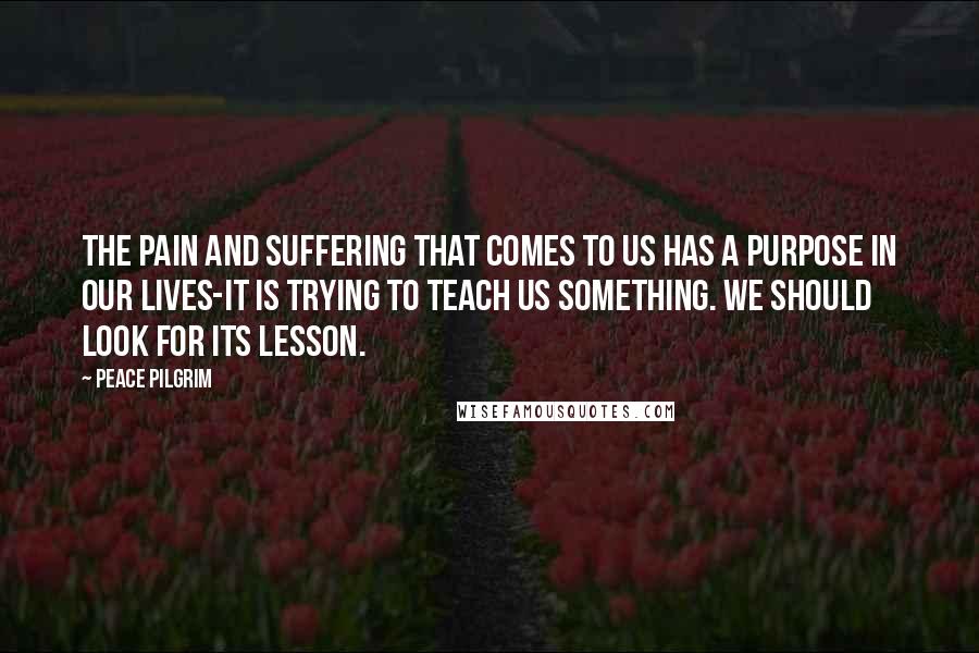 Peace Pilgrim Quotes: The pain and suffering that comes to us has a purpose in our lives-it is trying to teach us something. We should look for its lesson.
