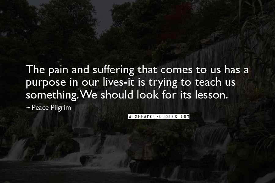 Peace Pilgrim Quotes: The pain and suffering that comes to us has a purpose in our lives-it is trying to teach us something. We should look for its lesson.