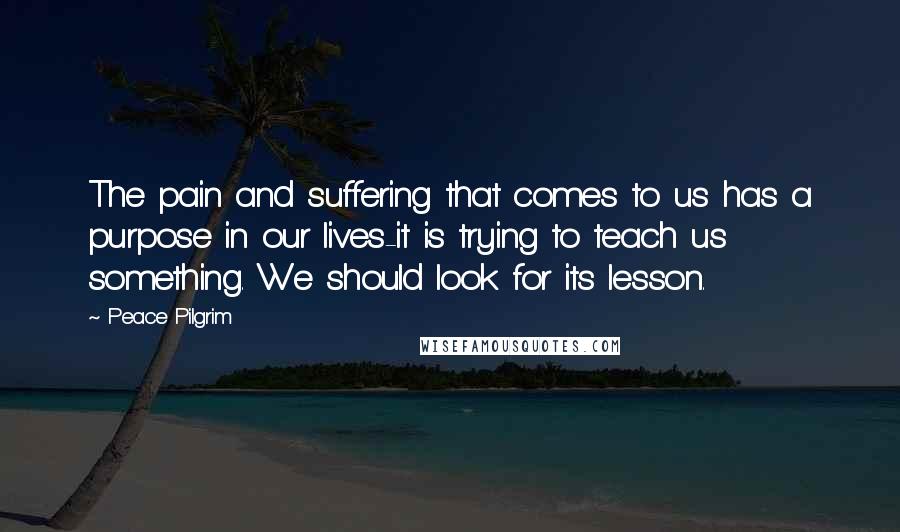 Peace Pilgrim Quotes: The pain and suffering that comes to us has a purpose in our lives-it is trying to teach us something. We should look for its lesson.