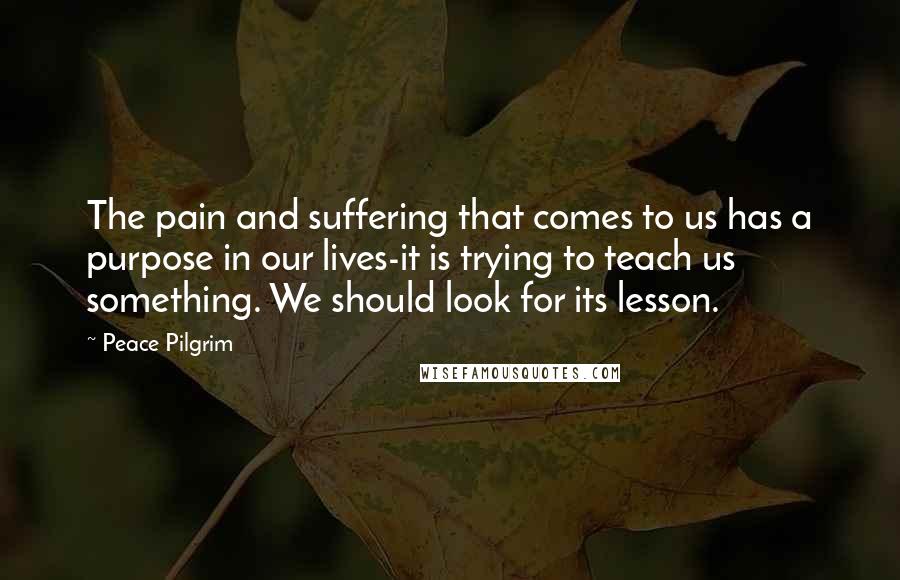 Peace Pilgrim Quotes: The pain and suffering that comes to us has a purpose in our lives-it is trying to teach us something. We should look for its lesson.