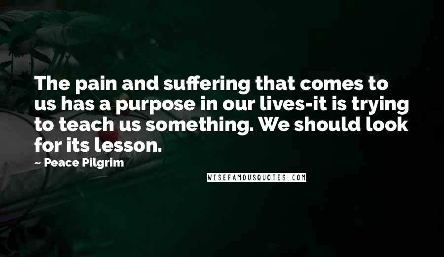 Peace Pilgrim Quotes: The pain and suffering that comes to us has a purpose in our lives-it is trying to teach us something. We should look for its lesson.