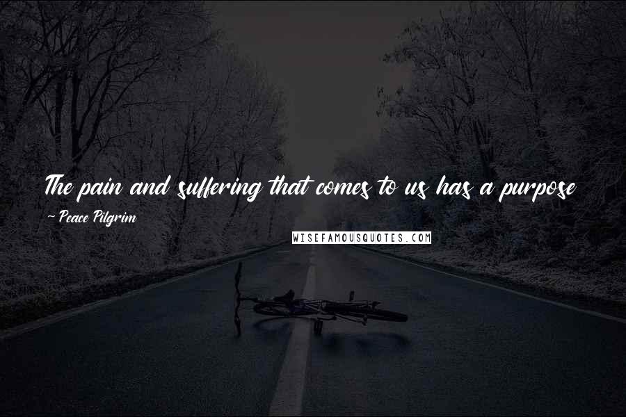 Peace Pilgrim Quotes: The pain and suffering that comes to us has a purpose in our lives-it is trying to teach us something. We should look for its lesson.