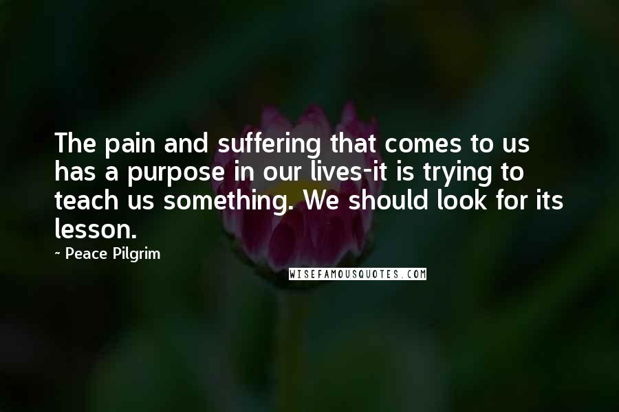 Peace Pilgrim Quotes: The pain and suffering that comes to us has a purpose in our lives-it is trying to teach us something. We should look for its lesson.