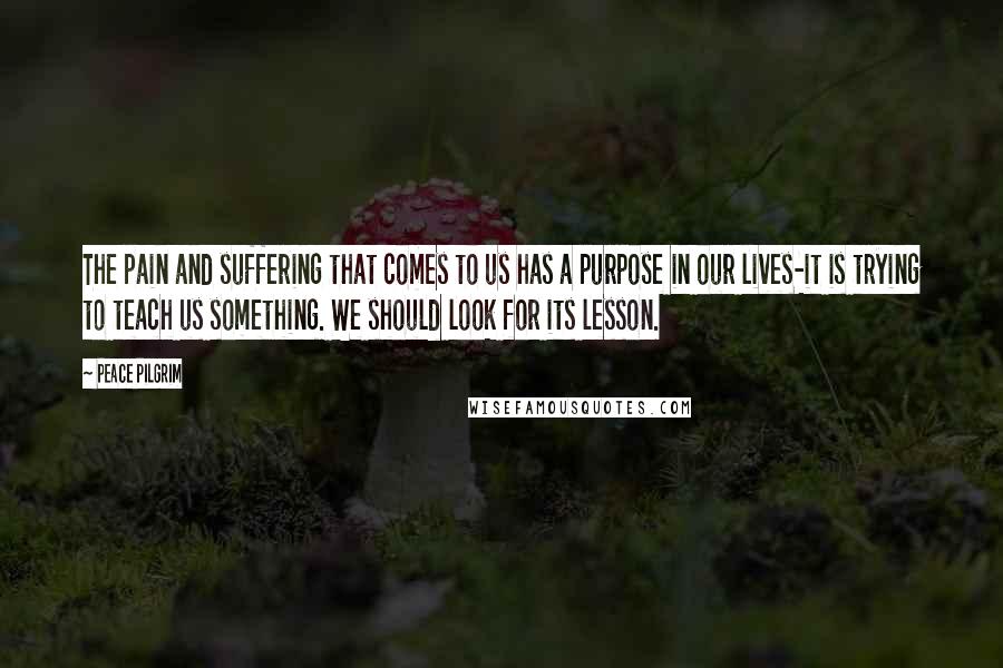 Peace Pilgrim Quotes: The pain and suffering that comes to us has a purpose in our lives-it is trying to teach us something. We should look for its lesson.
