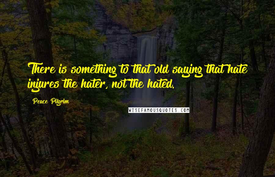 Peace Pilgrim Quotes: There is something to that old saying that hate injures the hater, not the hated.