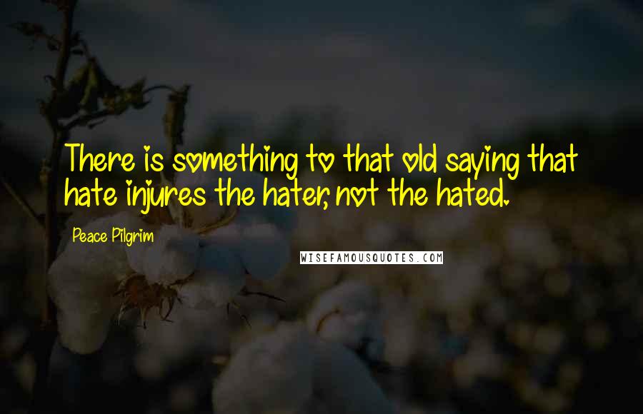 Peace Pilgrim Quotes: There is something to that old saying that hate injures the hater, not the hated.