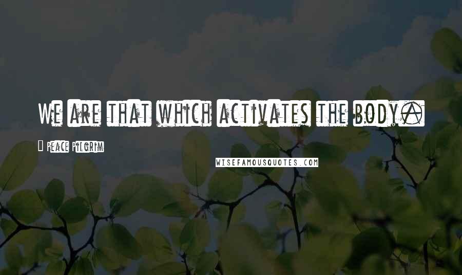 Peace Pilgrim Quotes: We are that which activates the body.