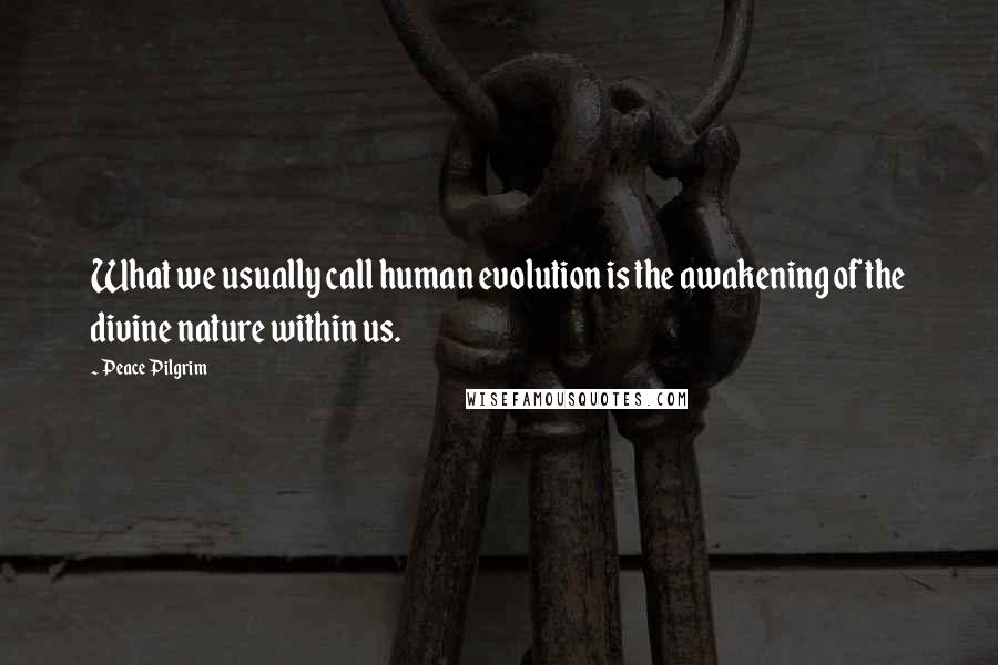 Peace Pilgrim Quotes: What we usually call human evolution is the awakening of the divine nature within us.